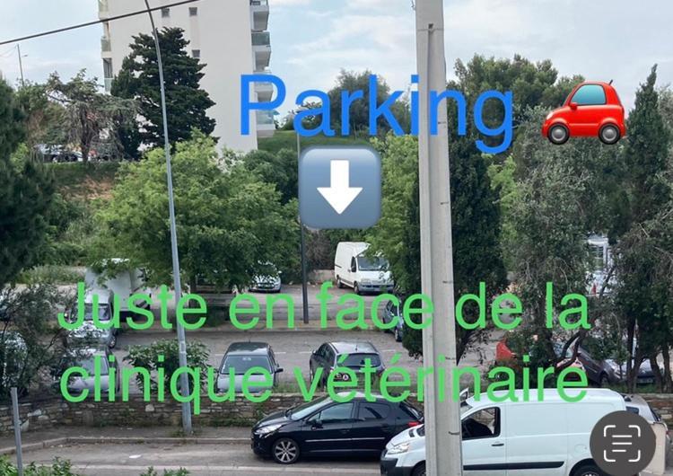 Location Chambre Avec Salle De Bain Et Partie Commune Sea View & Mountain View Renting 1 Of 3 Bedrooms With Shared Common Space 3 Bdrm Apt Not 1 Bdrm Plus Clime Ou Ac Bastia  Zewnętrze zdjęcie